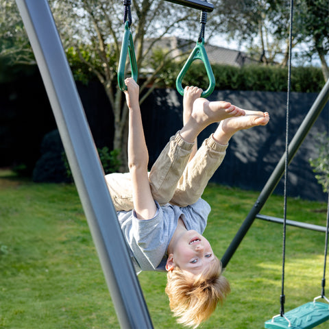 TitanPro Swing Set with Saucer Swing
